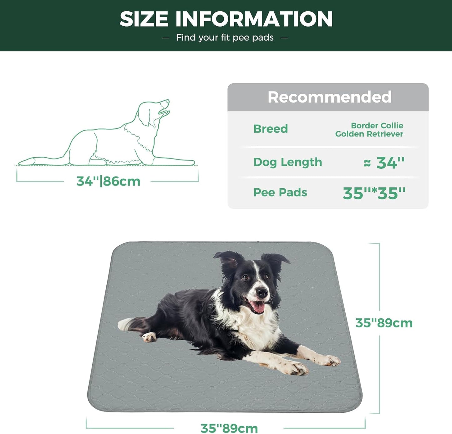 FXW Washable Pee Pads for Dogs, Puppy Pads with Super Absorbent, Specifically Designed for FXW Rollick/Homeplus 24inch 6 Panels Dog Playpen, 39" x 63" Rectangle, Khaki, 1 Pack