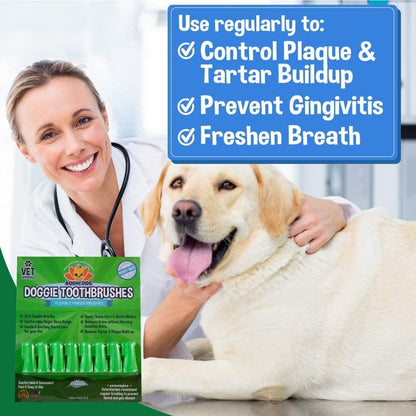 Bodhi Dog Finger Toothbrush for Dogs & Cats - Puppy Toothbrush with Soft Flexible Silicone Bristles, Gentle for Sensitive Gums, Promotes Healthy Teeth & Gums, Easy Teeth Cleaning Tool (50 Count)