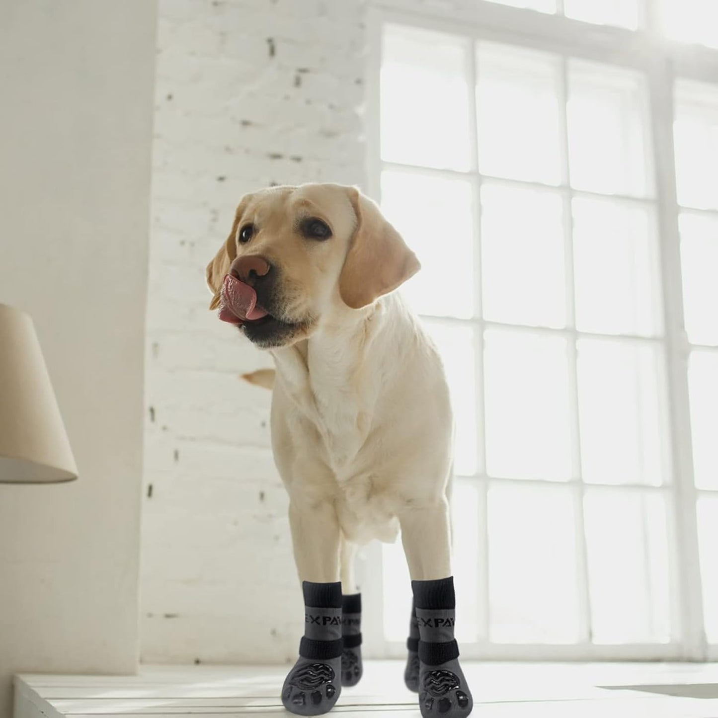 EXPAWLORER 6Pcs Anti-Slip Dog Socks to Prevent Licking Paws,Dog Shoes for Hot Pavement,Dog Booties Traction Control on Hardwood Floor,Boots & Paw Protectors, for Puppy Small Medium Large Senior Dogs
