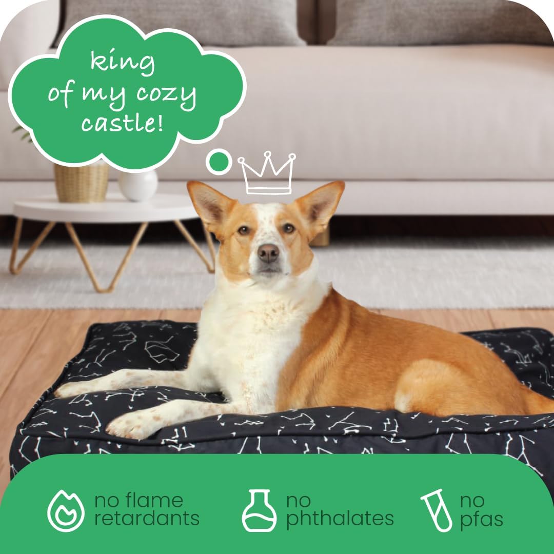 Molly Mutt Medium to Large Dog Bed Cover- Forever Young Print - Measures 27”X36”X5’’ - 100% Cotton - Durable - Breathable - Sustainable - Machine Washable Dog Bed Cover (Dd82b)