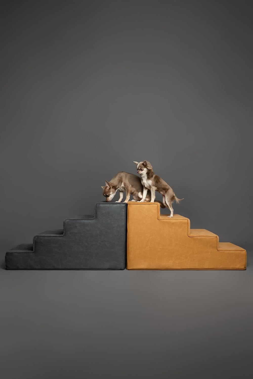 Noah & Paw Dog Stairs, Dog Ramp for Bed (20" Extra Wide) Pet Stairs for High Bed, Design to Fit Small and Large Breeds, Durable 5 Pet Steps for Couch (35 Foam Density) Leather Collection