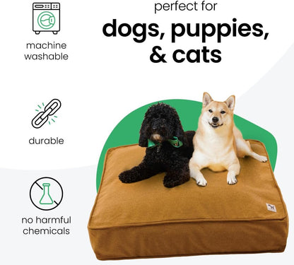 Molly Mutt Medium to Large Dog Bed Cover- Forever Young Print - Measures 27”X36”X5’’ - 100% Cotton - Durable - Breathable - Sustainable - Machine Washable Dog Bed Cover (Dd82b)