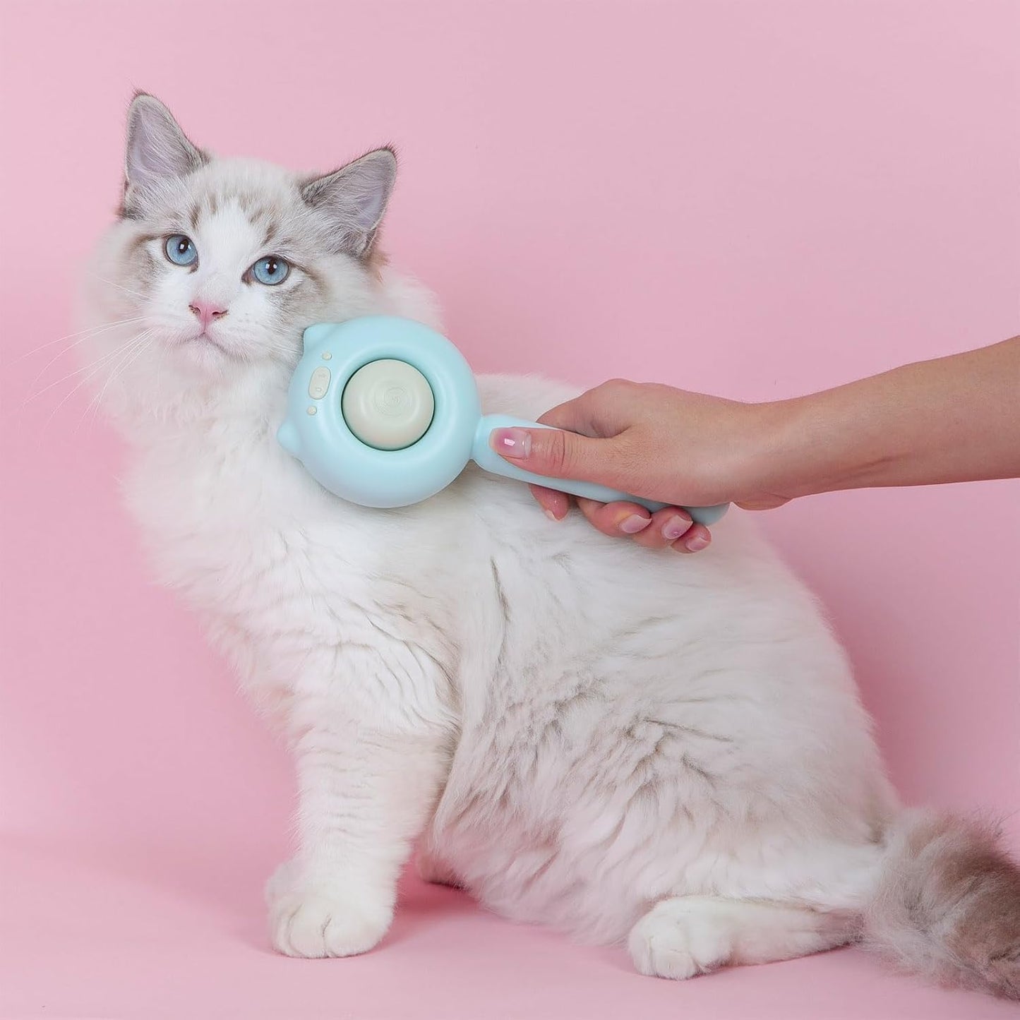 Cat Brush Dog Brush with Release Button for Shedding, Self Cleaning Cat Comb Hair Brush for Indoor Cats, Dog Deshedding Brush Grooming Kit, Pet Supplies Hair Remover Tool