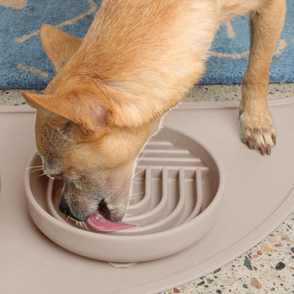 Should We Go? Slow Feeder for Dogs & Puppies, The Slowdown Bowl Silicone Slow Eating, Modern Lick Mat Design, Reduces Gulping, Fits 2 Cups, 7.5” Across x 1.5” Tall, Mealtime Challenge, Medium-Blush