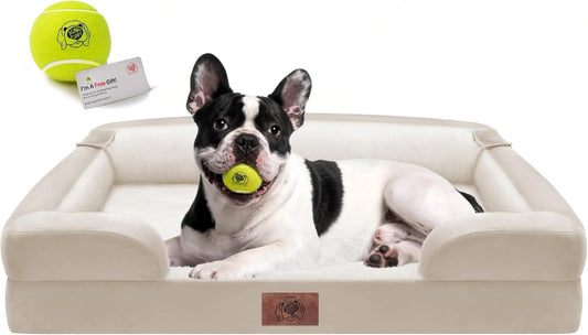 Extra Large Dog Bed, Orthopedic XL Washable Memory Foam Bed for Big Dogs Waterproof Pet Couch Sofa Bolster with Removable Cover, Non-Slip Bottom, Tennis Ball Toy, 42x30