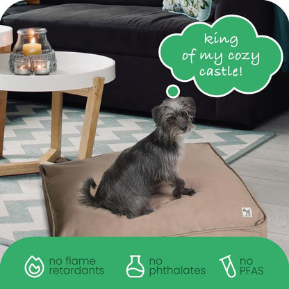 Molly Mutt Medium to Large Dog Bed Cover- Forever Young Print - Measures 27”X36”X5’’ - 100% Cotton - Durable - Breathable - Sustainable - Machine Washable Dog Bed Cover (Dd82b)
