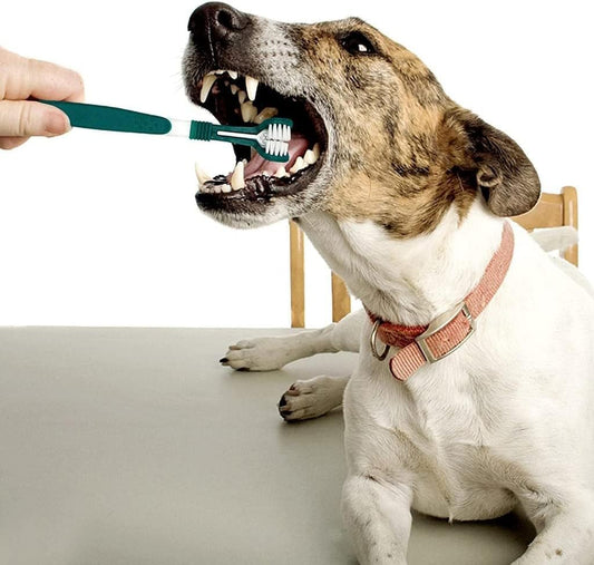 Green Dog Toothbrush, Triple Headed Toothbrush Dog Toothbrush for Pet, Pet Supplies