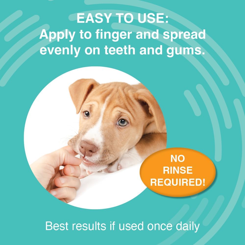 Nootie Medicated Dental Wipes for Dogs, Cleans Teeth and Freshens Breath for Dogs - Prevents Plaque and Tartar Dog Oral Care, 60 Count