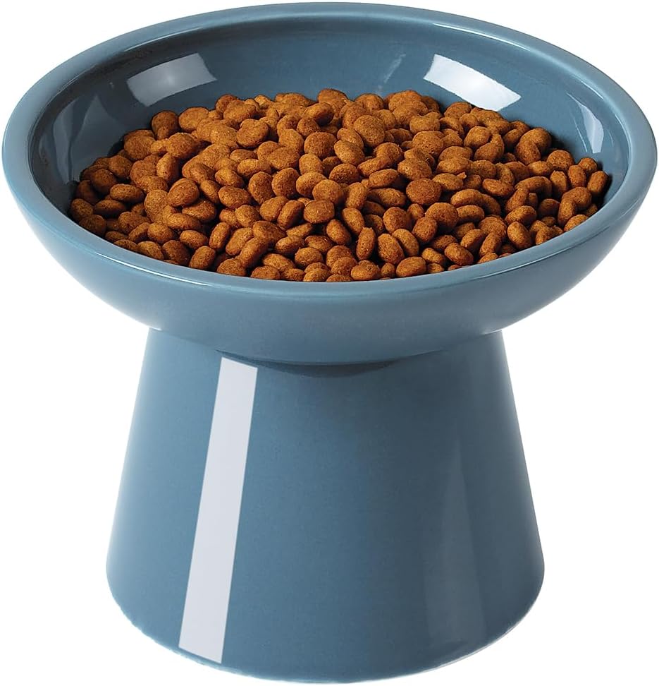 LoeJan Elevated Cat Food and Water Bowls Set, Extra Wide and Raised Ceramic Bowls, Anti-Vomit Whisker-Free Pressure Cat Feeder for Kittens to Adult Cats and Small Dogs (White, Water Bowl)