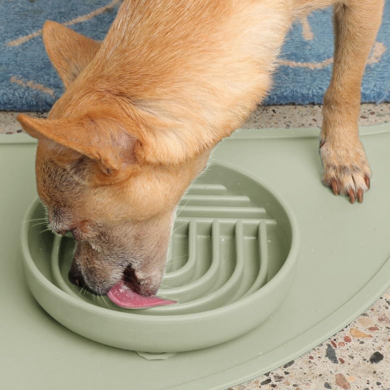 Should We Go? Slow Feeder for Dogs & Puppies, The Slowdown Bowl Silicone Slow Eating, Modern Lick Mat Design, Reduces Gulping, Fits 2 Cups, 7.5” Across x 1.5” Tall, Mealtime Challenge, Medium-Blush