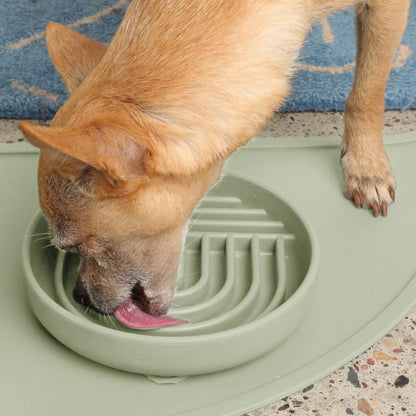 Should We Go? Slow Feeder for Dogs & Puppies, The Slowdown Bowl Silicone Slow Eating, Modern Lick Mat Design, Reduces Gulping, Fits 2 Cups, 7.5” Across x 1.5” Tall, Mealtime Challenge, Medium-Blush