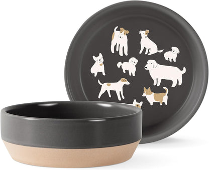 Fringe Studio Matte Speckled Green Medium Raised Stoneware Feeder W/Stainless Steel Insert (7" Diameter x 5.5" H, 26 fl.oz.), PetShop Collection (453MD001)