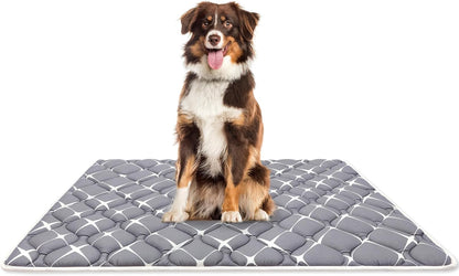 Bubble bear Dog Crate Mat - Ultra Soft, Washable & Anti-Slip Kennel Pad for Small/Medium/Large Dogs, Dark-Hued to Hide Stains (48"x30")