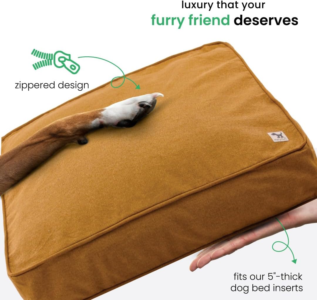 Molly Mutt Medium to Large Dog Bed Cover- Forever Young Print - Measures 27”X36”X5’’ - 100% Cotton - Durable - Breathable - Sustainable - Machine Washable Dog Bed Cover (Dd82b)