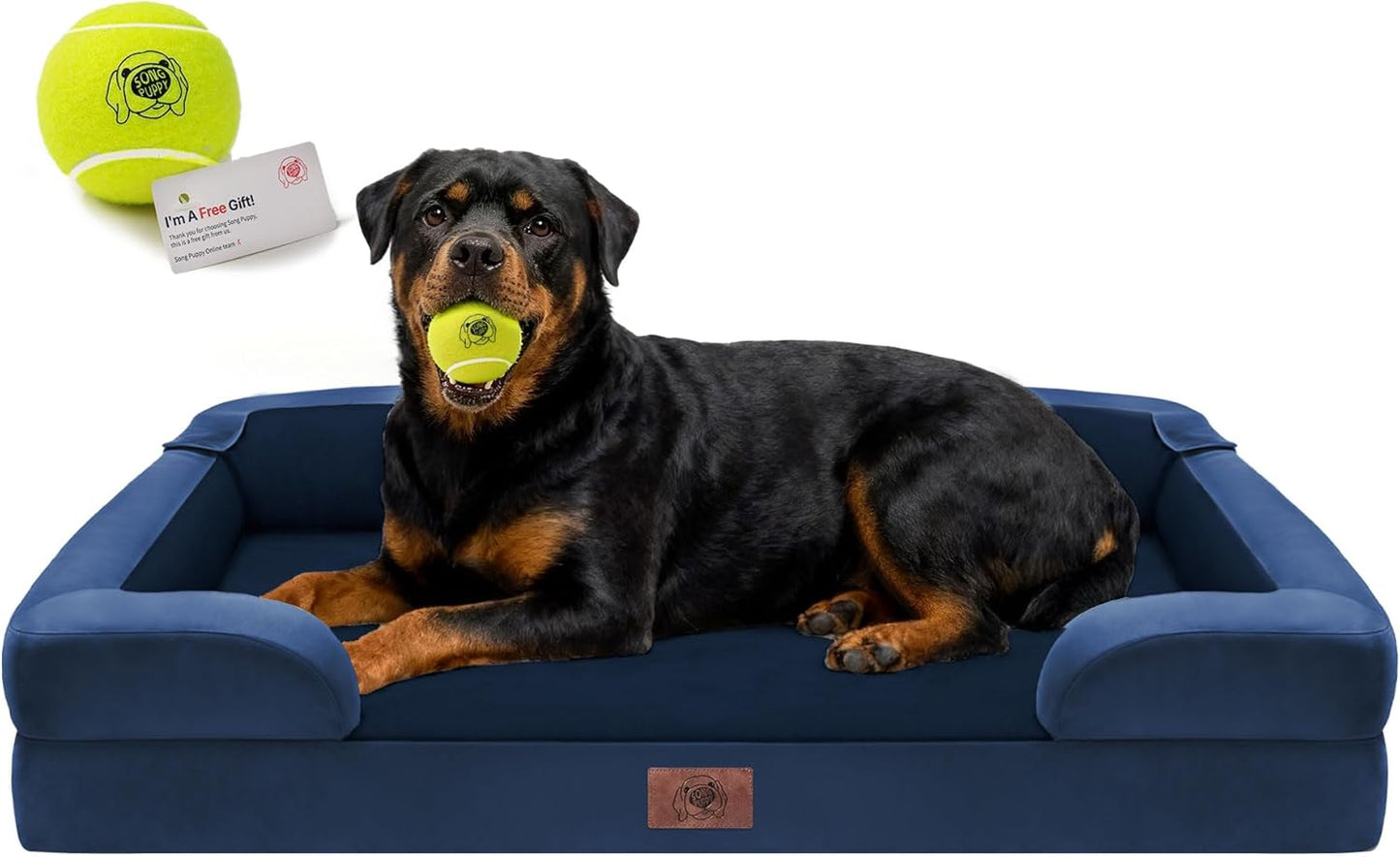 Extra Large Dog Bed, Orthopedic XL Washable Memory Foam Bed for Big Dogs Waterproof Pet Couch Sofa Bolster with Removable Cover, Non-Slip Bottom, Tennis Ball Toy, 42x30