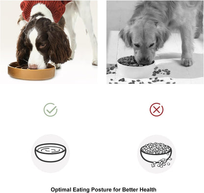 Ceramic Slow Feeder Dog Bowl, Maze Puzzle Non-Slip Silicone Base Stoneware Bowl for Small Medium Dogs, Heavy Duty Anti-Bloat Dog Food Bowl Dishwasher Safe – Apricot, Medium
