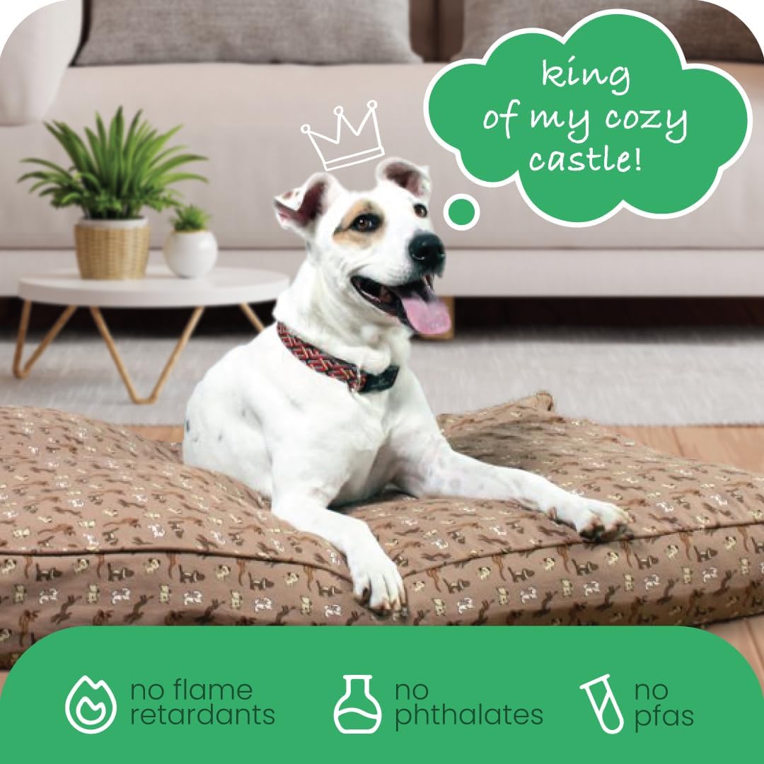Molly Mutt Medium to Large Dog Bed Cover- Forever Young Print - Measures 27”X36”X5’’ - 100% Cotton - Durable - Breathable - Sustainable - Machine Washable Dog Bed Cover (Dd82b)