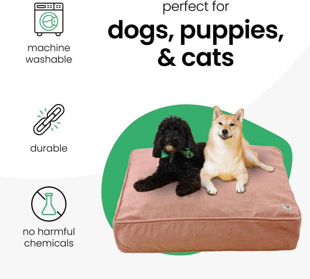 Molly Mutt Medium to Large Dog Bed Cover- Forever Young Print - Measures 27”X36”X5’’ - 100% Cotton - Durable - Breathable - Sustainable - Machine Washable Dog Bed Cover (Dd82b)