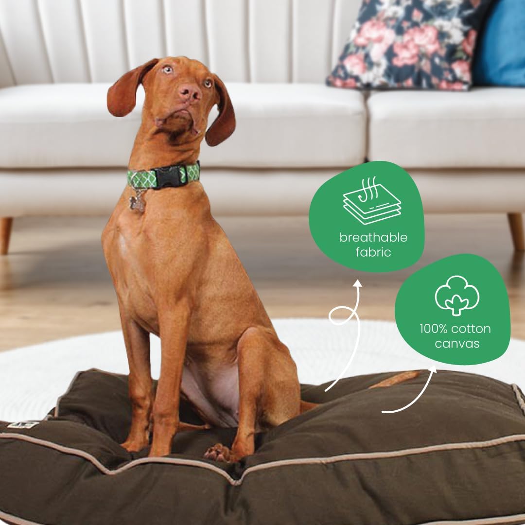 Molly Mutt Medium to Large Dog Bed Cover- Forever Young Print - Measures 27”X36”X5’’ - 100% Cotton - Durable - Breathable - Sustainable - Machine Washable Dog Bed Cover (Dd82b)