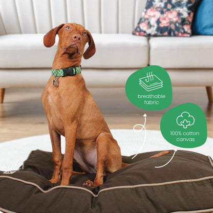 Molly Mutt Medium to Large Dog Bed Cover- Forever Young Print - Measures 27”X36”X5’’ - 100% Cotton - Durable - Breathable - Sustainable - Machine Washable Dog Bed Cover (Dd82b)