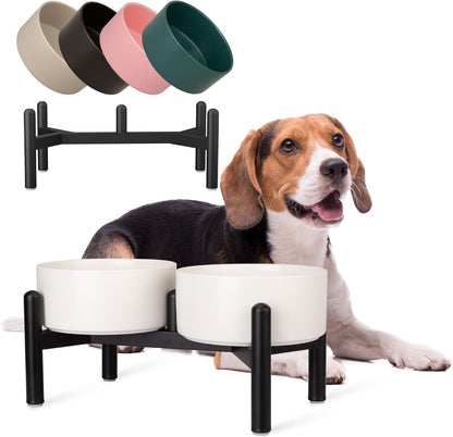 Raised Ceramic Dog Bowl Set - Elevated Double Dishes with Stainless Steel Stand - Food and Water Bowls for Small to Medium Dogs - Each Holds 3.5 Cups (29.57 fl oz) - White