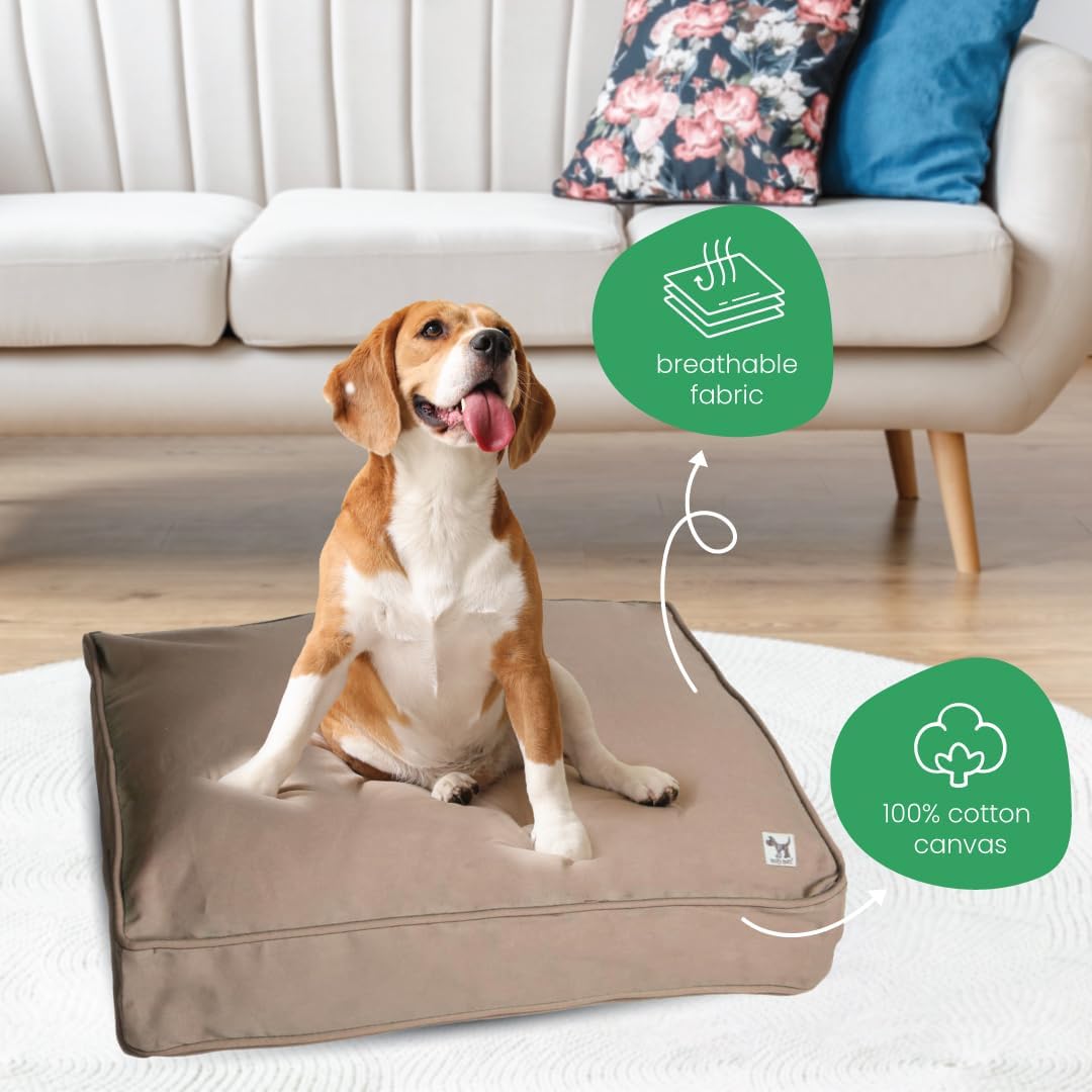 Molly Mutt Medium to Large Dog Bed Cover- Forever Young Print - Measures 27”X36”X5’’ - 100% Cotton - Durable - Breathable - Sustainable - Machine Washable Dog Bed Cover (Dd82b)
