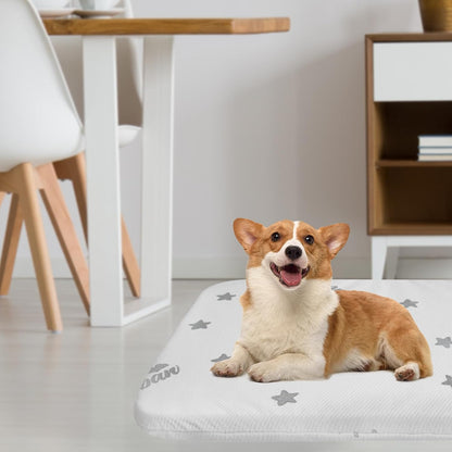 Waterproof Dog Bed for Large/Medium Dog, Memory Foam Orthopedic Dogs Beds & Furniture 38” x 26" x 1.5" for Large Sized Dogs with Anti-Slip & Washable Removable Cover, Soft Flannel Top Pet Beds, Grey