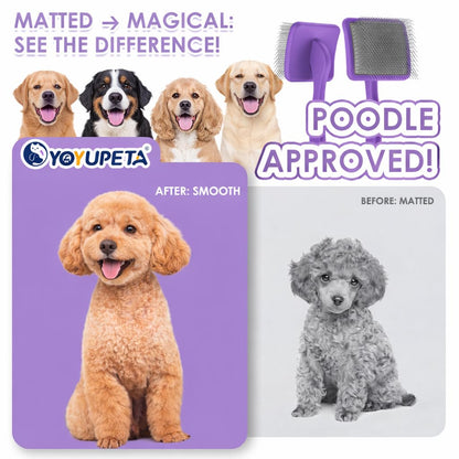 Large Slicker Brush for Dogs,Doodle Brush for Poodles, Goldendoodles, Labradoodle, Extra Long Pins for Detangling Matted Fur & Removing Tangle, Dog Grooming Kit with Wooden Handle. Black