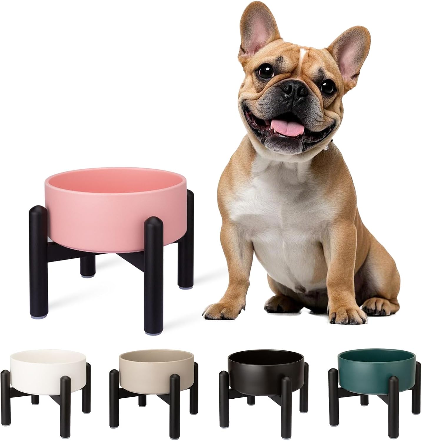 Raised Ceramic Dog Bowl Set - Elevated Double Dishes with Stainless Steel Stand - Food and Water Bowls for Small to Medium Dogs - Each Holds 3.5 Cups (29.57 fl oz) - White