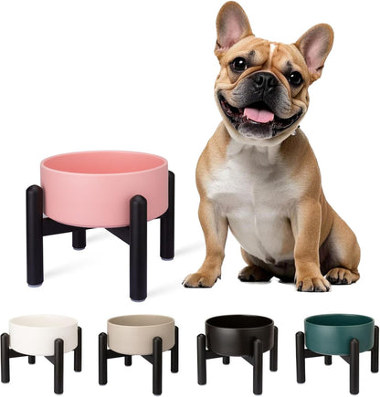 Raised Ceramic Dog Bowl Set - Elevated Double Dishes with Stainless Steel Stand - Food and Water Bowls for Small to Medium Dogs - Each Holds 3.5 Cups (29.57 fl oz) - White