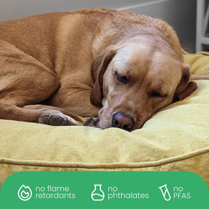 Molly Mutt Medium to Large Dog Bed Cover- Forever Young Print - Measures 27”X36”X5’’ - 100% Cotton - Durable - Breathable - Sustainable - Machine Washable Dog Bed Cover (Dd82b)