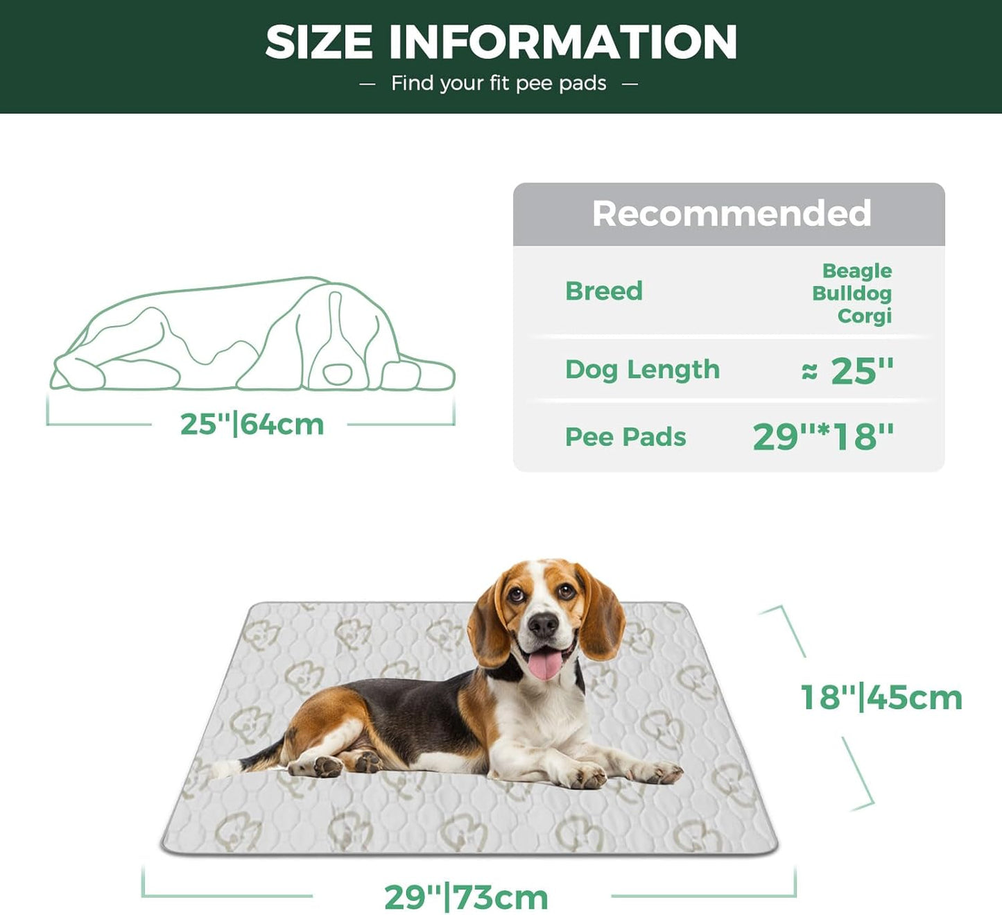 FXW Washable Pee Pads for Dogs, Puppy Pads with Super Absorbent, Specifically Designed for FXW Rollick/Homeplus 24inch 6 Panels Dog Playpen, 39" x 63" Rectangle, Khaki, 1 Pack