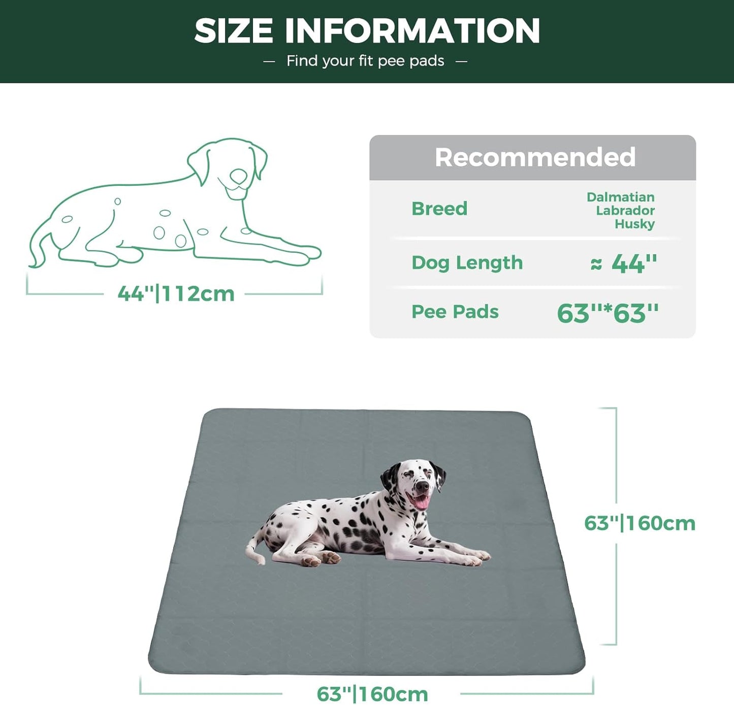 FXW Washable Pee Pads for Dogs, Puppy Pads with Super Absorbent, Specifically Designed for FXW Rollick/Homeplus 24inch 6 Panels Dog Playpen, 39" x 63" Rectangle, Khaki, 1 Pack