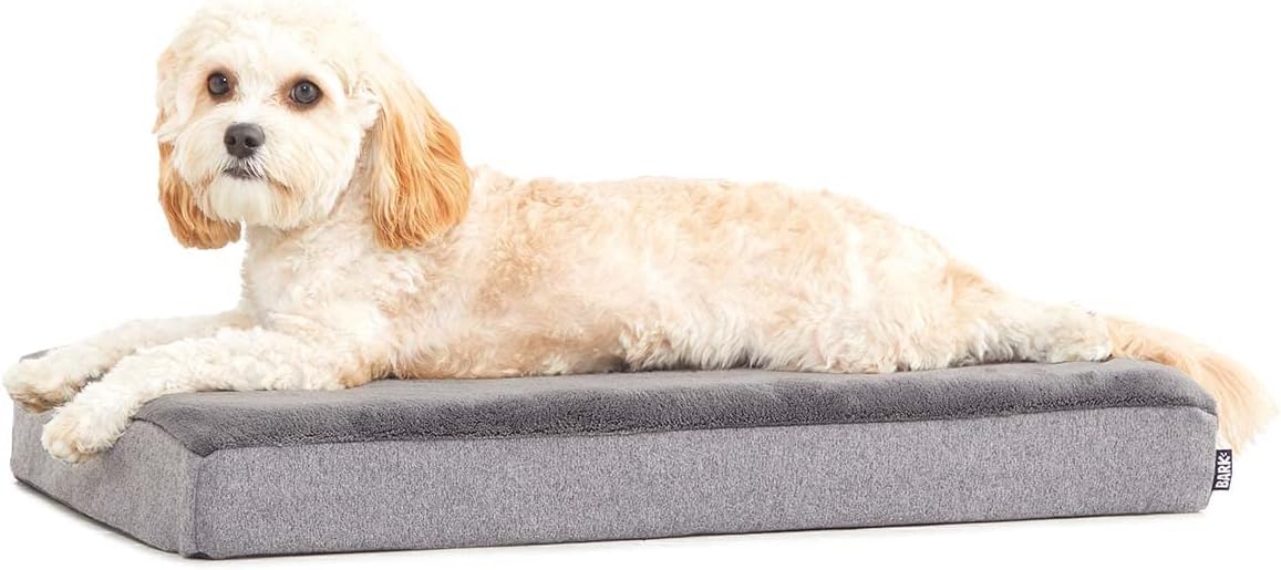 Barkbox Orthopedic Dog Bed with Memory Foam, Premium Comfort for Dogs and Puppies, Large Sized Dog Bed for Joint Relief and Restful Sleep, Durable and Easy to Clean - Grey, Large