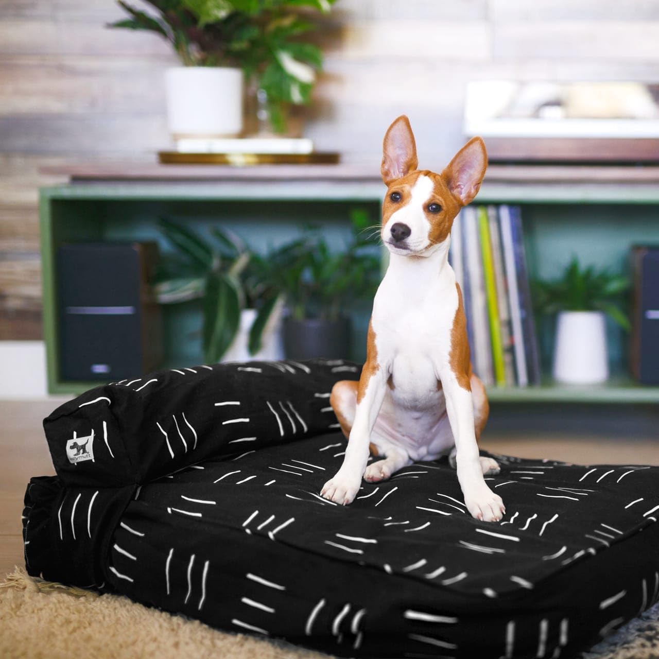 Molly Mutt Medium to Large Dog Bed Cover- Forever Young Print - Measures 27”X36”X5’’ - 100% Cotton - Durable - Breathable - Sustainable - Machine Washable Dog Bed Cover (Dd82b)