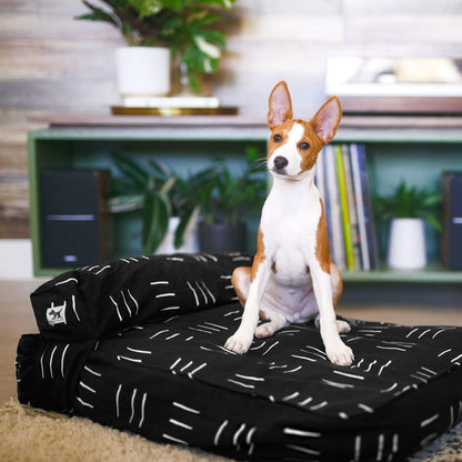 Molly Mutt Medium to Large Dog Bed Cover- Forever Young Print - Measures 27”X36”X5’’ - 100% Cotton - Durable - Breathable - Sustainable - Machine Washable Dog Bed Cover (Dd82b)