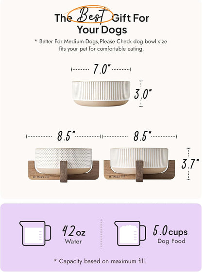 LE TAUCI PET Ceramic Dog and Cat Bowl Set with Acacia Wood Stand - 2 Cup Weighted Non-Slip Food and Water Bowls for Small Dogs & Cats, Lines + Dot