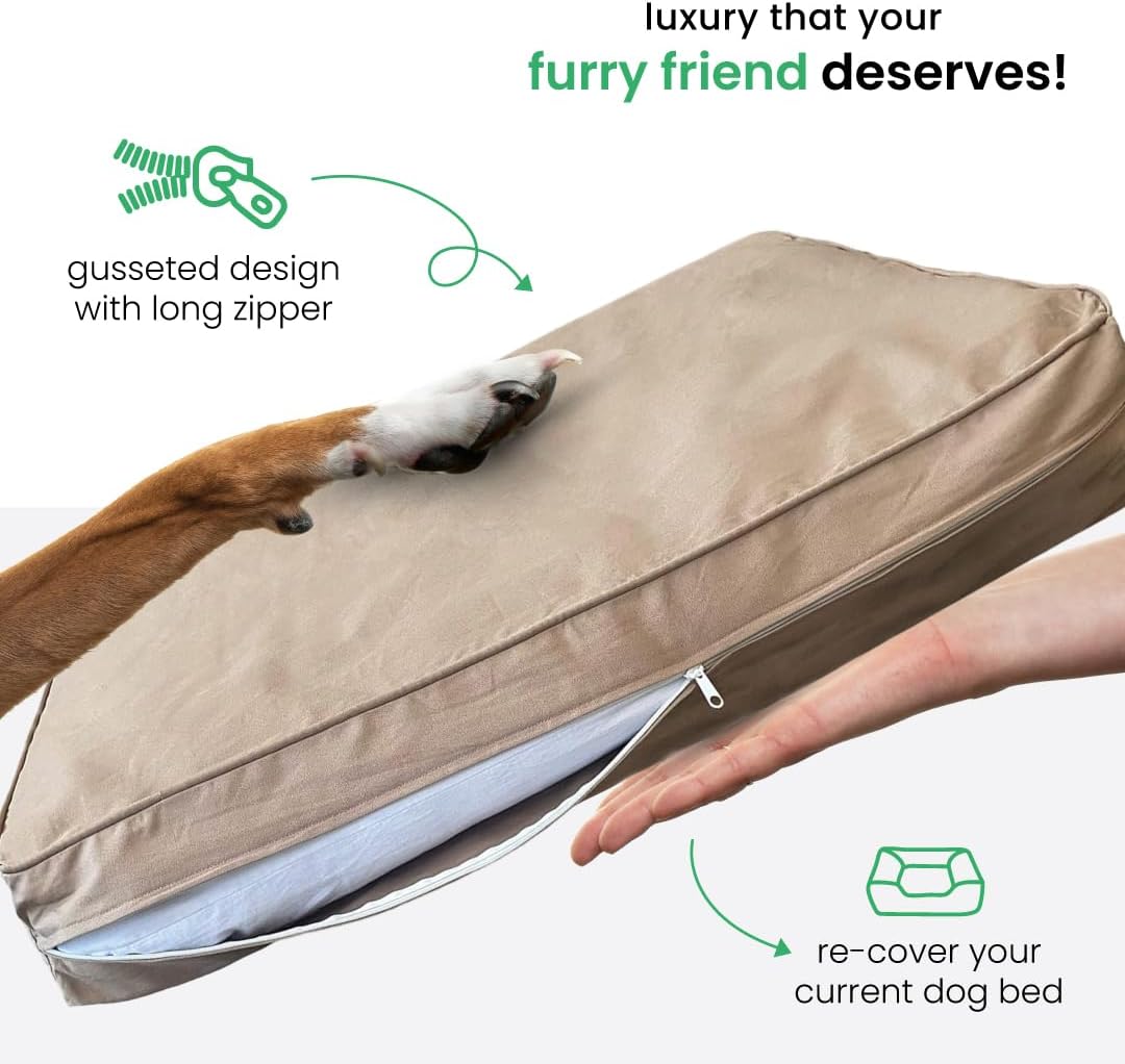 Molly Mutt Medium to Large Dog Bed Cover- Forever Young Print - Measures 27”X36”X5’’ - 100% Cotton - Durable - Breathable - Sustainable - Machine Washable Dog Bed Cover (Dd82b)
