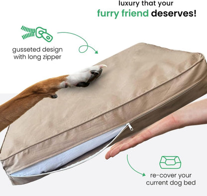 Molly Mutt Medium to Large Dog Bed Cover- Forever Young Print - Measures 27”X36”X5’’ - 100% Cotton - Durable - Breathable - Sustainable - Machine Washable Dog Bed Cover (Dd82b)