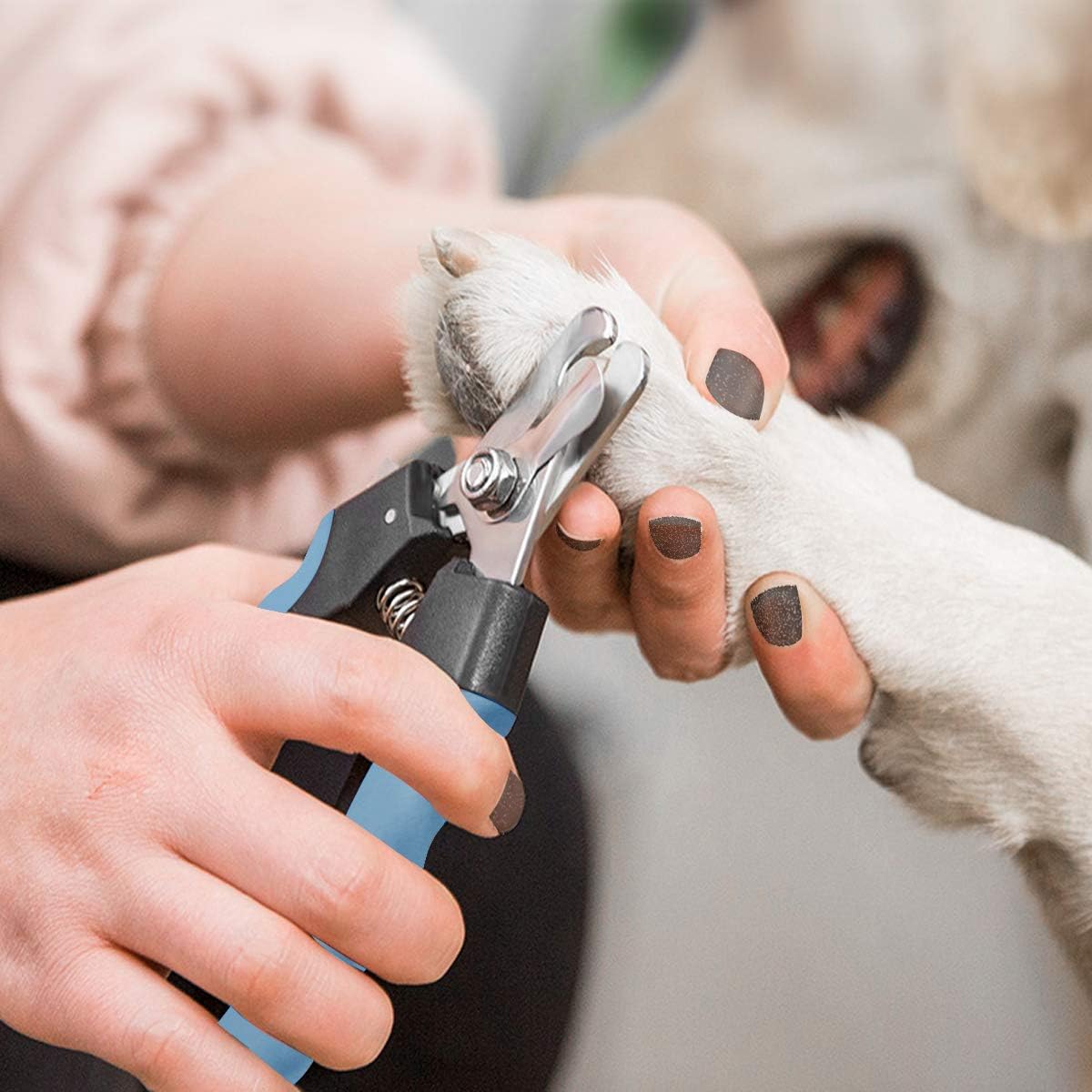 Pet Nail Clippers and Trimmers Set Safety Guard to Avoid Over Cutting Razor Sharp Blades Grooming Tool for All Small Large Dog Cat Red