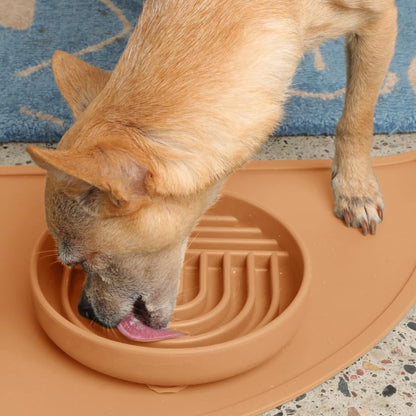 Should We Go? Slow Feeder for Dogs & Puppies, The Slowdown Bowl Silicone Slow Eating, Modern Lick Mat Design, Reduces Gulping, Fits 2 Cups, 7.5” Across x 1.5” Tall, Mealtime Challenge, Medium-Blush