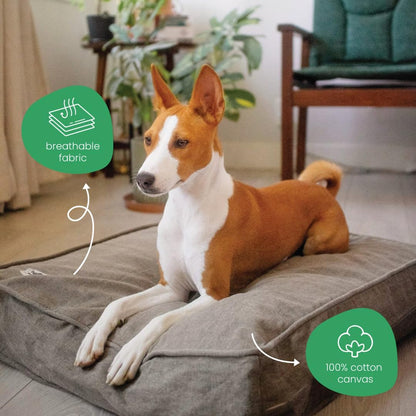 Molly Mutt Medium to Large Dog Bed Cover- Forever Young Print - Measures 27”X36”X5’’ - 100% Cotton - Durable - Breathable - Sustainable - Machine Washable Dog Bed Cover (Dd82b)
