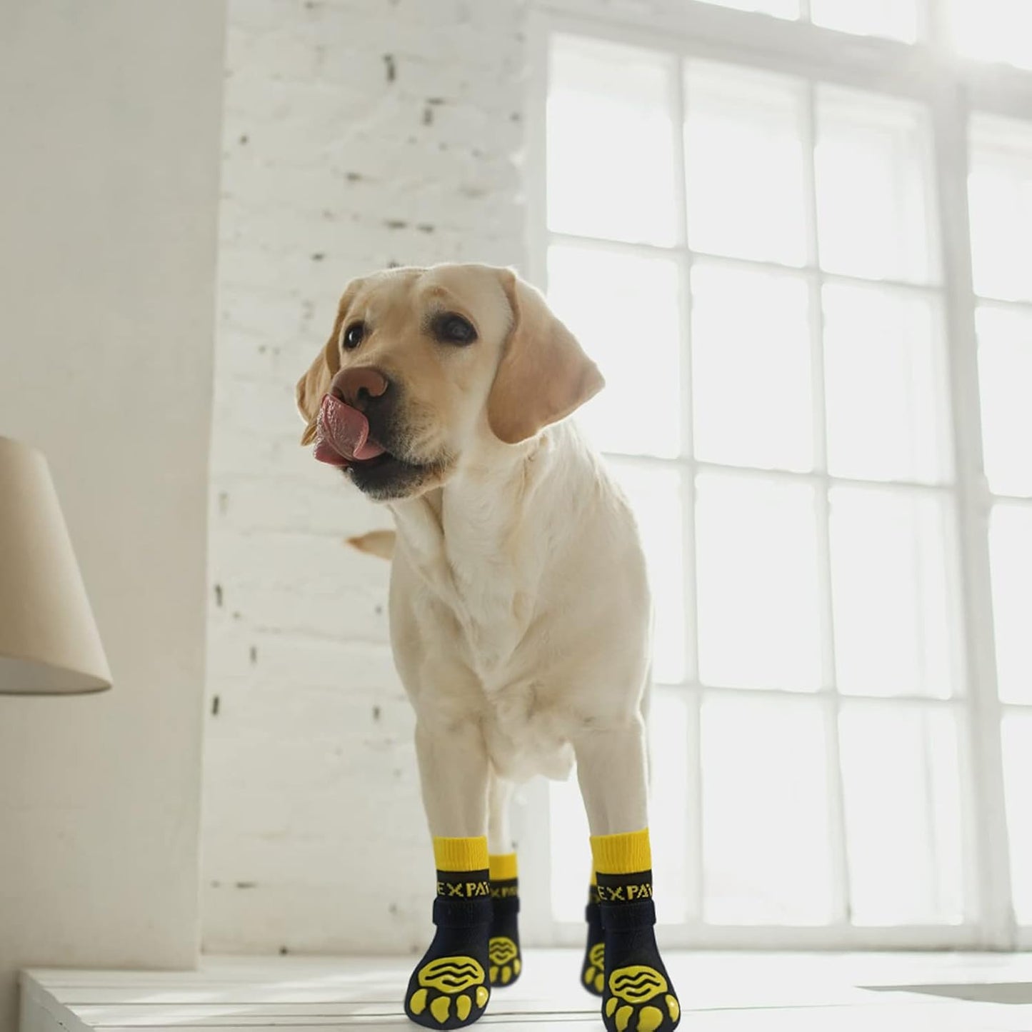 EXPAWLORER 6Pcs Anti-Slip Dog Socks to Prevent Licking Paws,Dog Shoes for Hot Pavement,Dog Booties Traction Control on Hardwood Floor,Boots & Paw Protectors, for Puppy Small Medium Large Senior Dogs