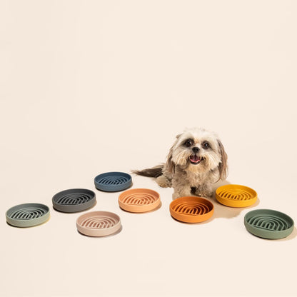 Should We Go? Slow Feeder for Dogs & Puppies, The Slowdown Bowl Silicone Slow Eating, Modern Lick Mat Design, Reduces Gulping, Fits 2 Cups, 7.5” Across x 1.5” Tall, Mealtime Challenge, Medium-Blush