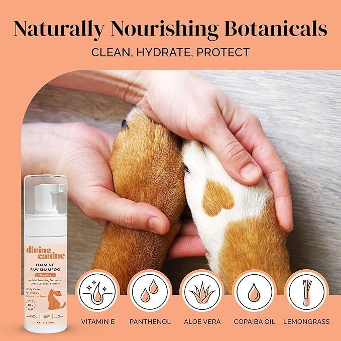 Foam Dog Paw Cleaner - Alcohol Free Foaming Paw Sanitizer Spritz - Made with Coconut, Aloe, Copaiba Oil, and Lemongrass Oil to Nourish and Clean Paws - Made in The USA (1.7 Fl Oz)