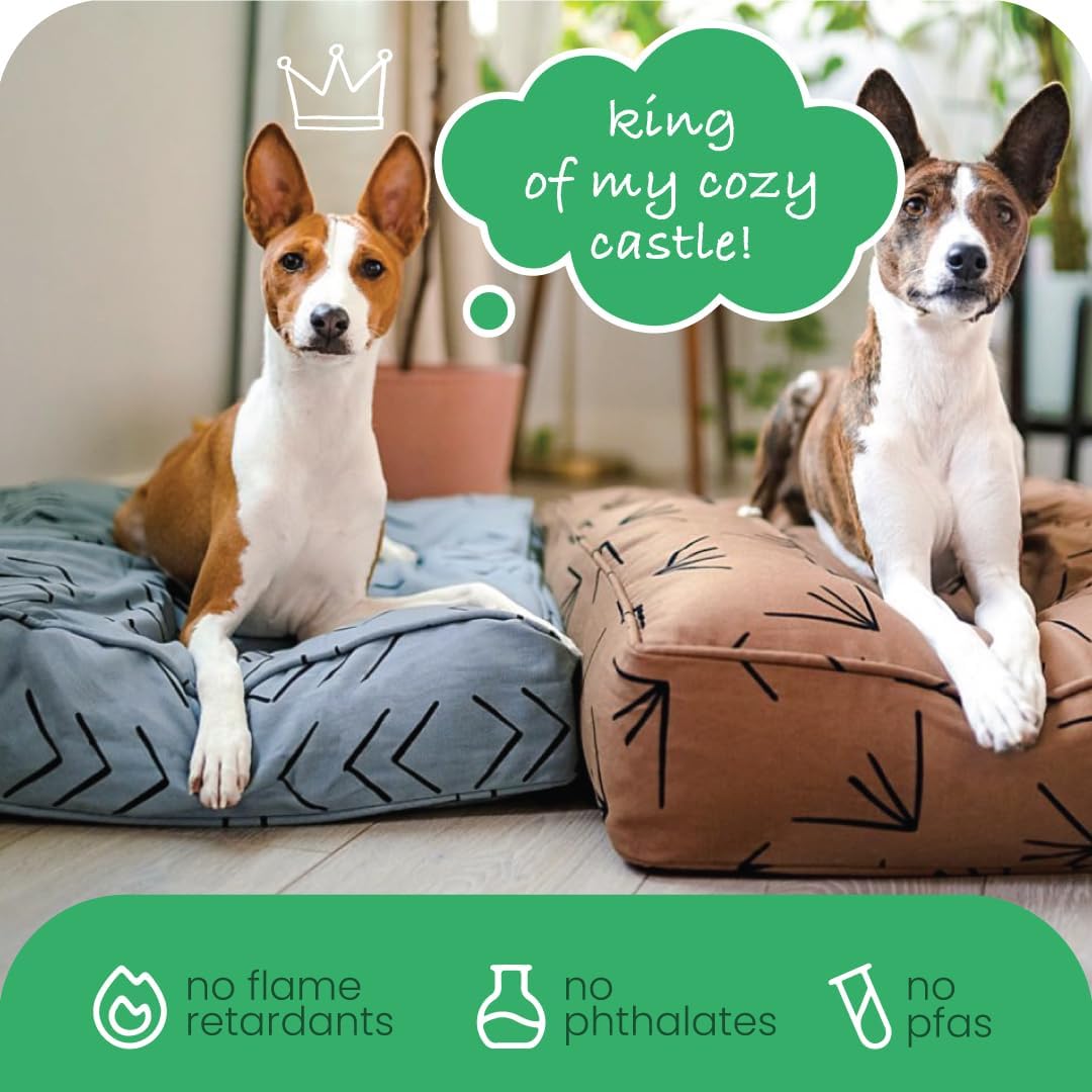 Molly Mutt Medium to Large Dog Bed Cover- Forever Young Print - Measures 27”X36”X5’’ - 100% Cotton - Durable - Breathable - Sustainable - Machine Washable Dog Bed Cover (Dd82b)