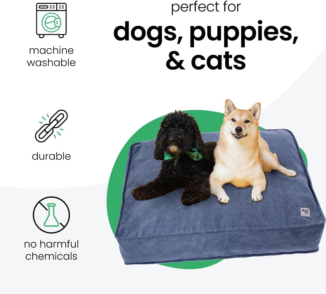 Molly Mutt Medium to Large Dog Bed Cover- Forever Young Print - Measures 27”X36”X5’’ - 100% Cotton - Durable - Breathable - Sustainable - Machine Washable Dog Bed Cover (Dd82b)
