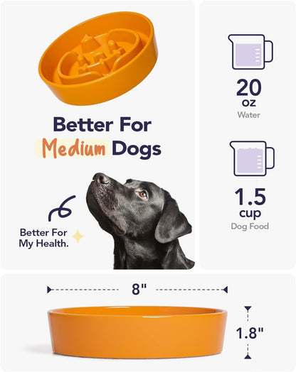 LE TAUCI Dog Bowls Slow Feeder Ceramic, 1.5 Cup Slow Feeding Bowl for Small and Medium Breed, Puzzle Dog Food Bowl for Fast Eater, Maze Purple