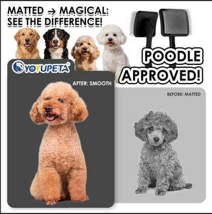Large Dog Slicker Brush for Goldendoodles, Poodles - 3 in 1 Grooming Kit with Undercoat Rake, Comb - Extra Long Pins for Dematting Great Pyrenees, Thick Coats, Shedding, Detangling, Natural