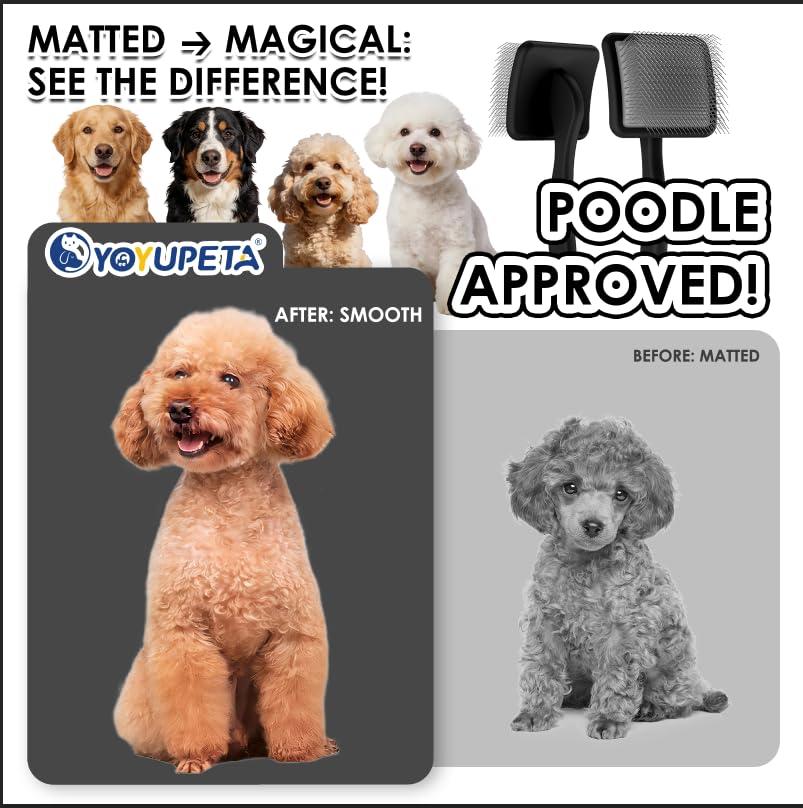Large Slicker Brush for Dogs,Doodle Brush for Poodles, Goldendoodles, Labradoodle, Extra Long Pins for Detangling Matted Fur & Removing Tangle, Dog Grooming Kit with Wooden Handle. Black